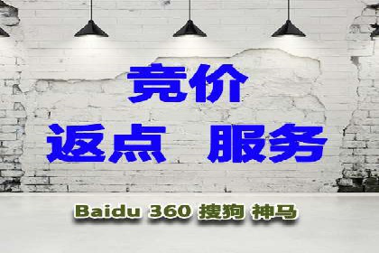 竞价推广中的关键词选择与优化：成功案例揭秘